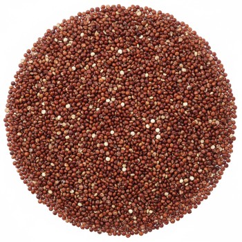 Komosa ryżowa czerwona